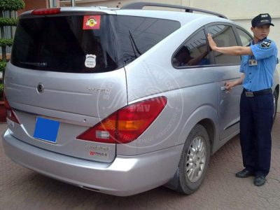 special security services